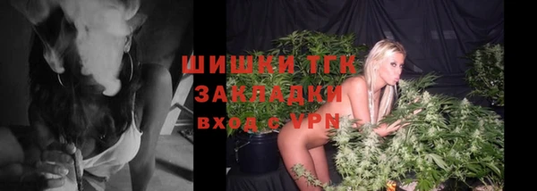 гашик Алексеевка
