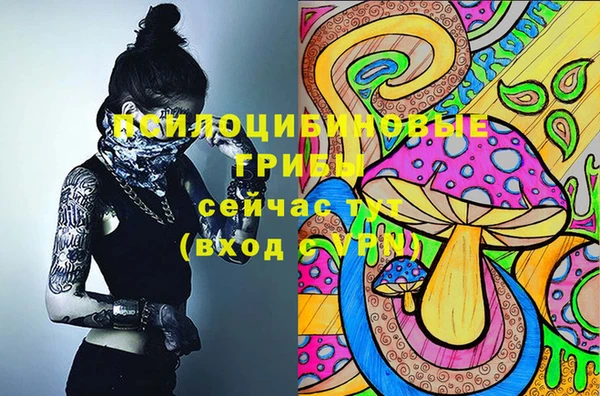 марки lsd Пересвет
