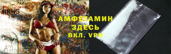 гашик Алексеевка