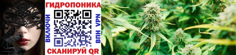 где можно купить   Куйбышев  сайты даркнета клад  Бошки марихуана SATIVA & INDICA  omg как зайти 
